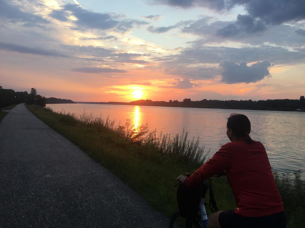 Donaupark Camping Tulln Tulln An Der Donau Exteriör bild