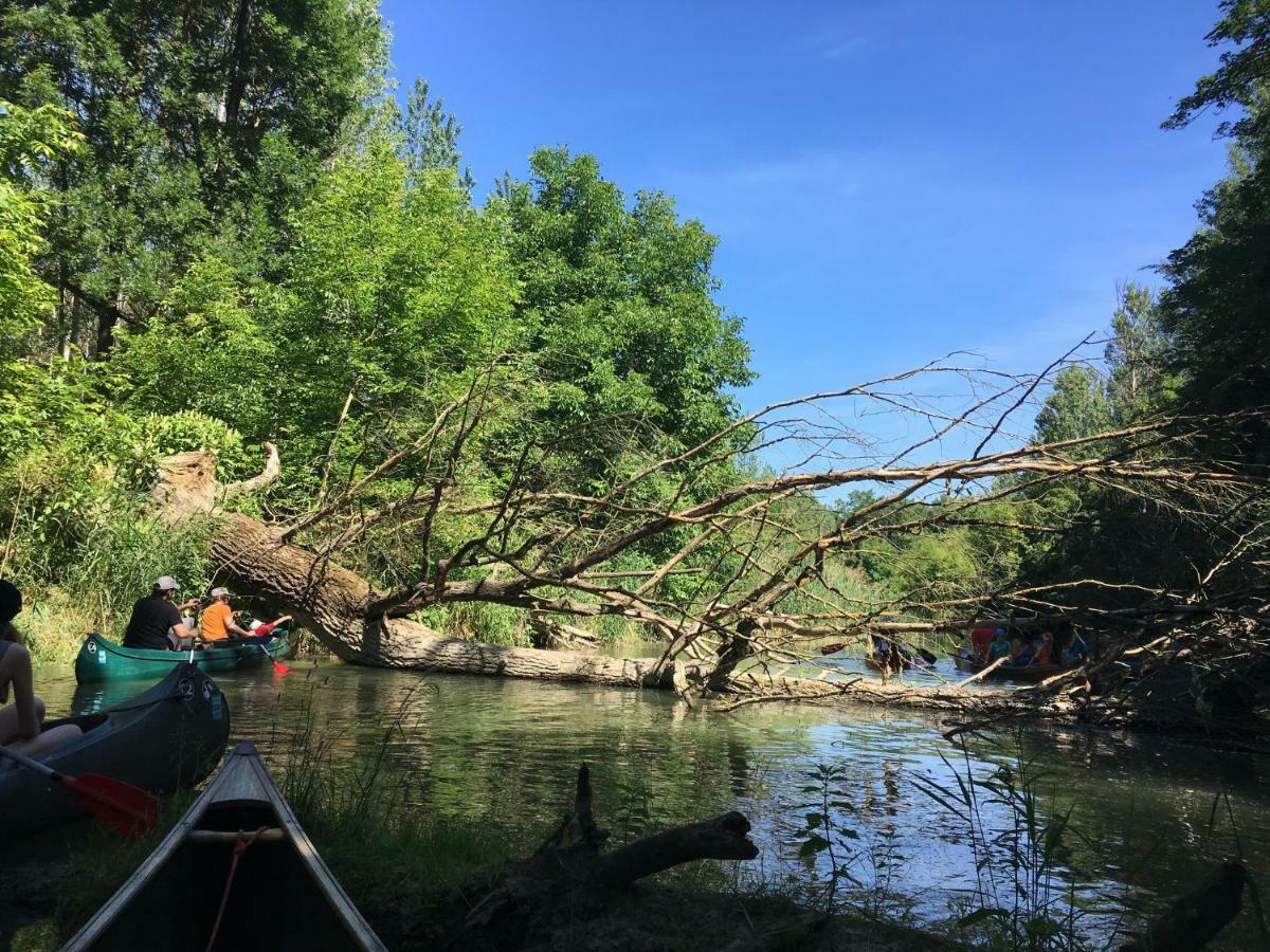 Donaupark Camping Tulln Tulln An Der Donau Exteriör bild