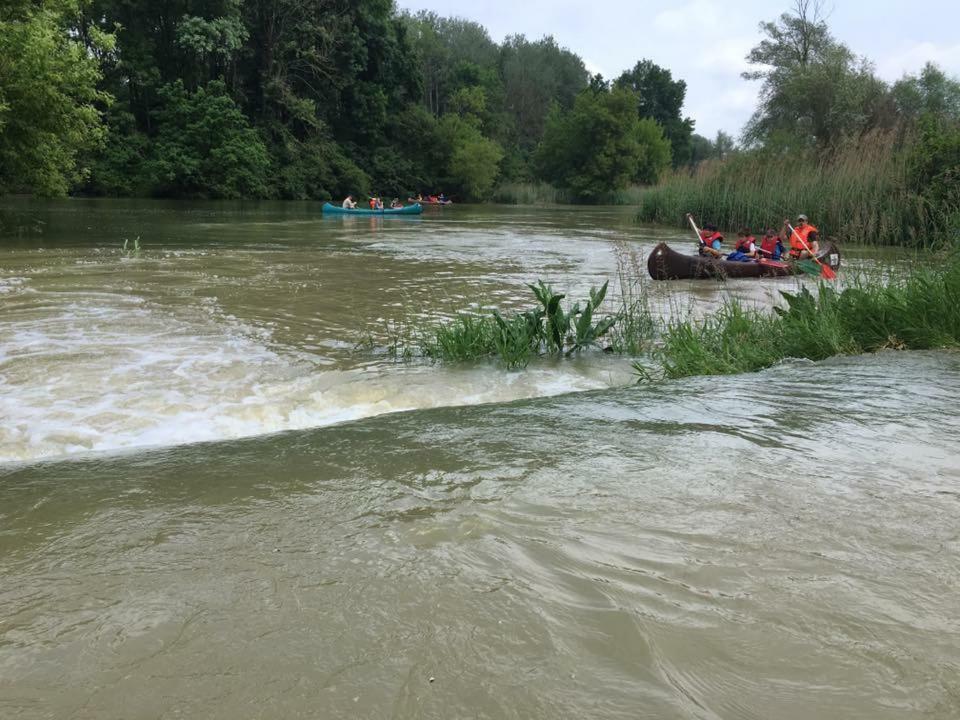 Donaupark Camping Tulln Tulln An Der Donau Exteriör bild